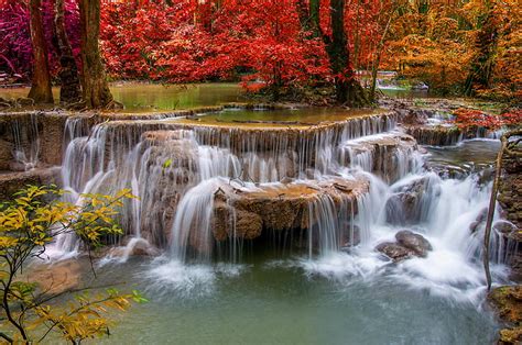 Hd Wallpaper Red Leafed Trees Autumn Forest Stream Stones