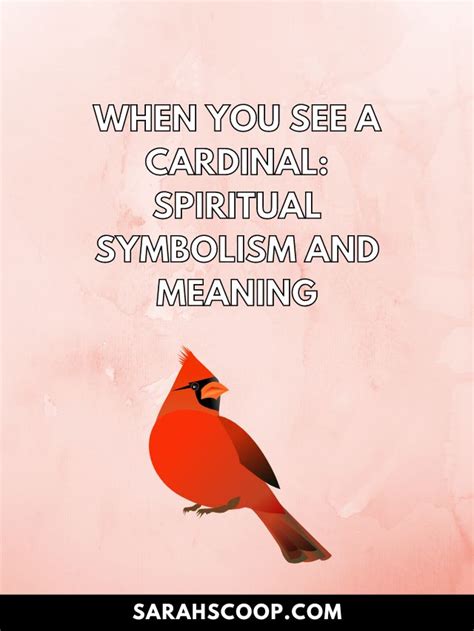 When You See A Cardinal Spiritual Symbolism And Meaning 2023