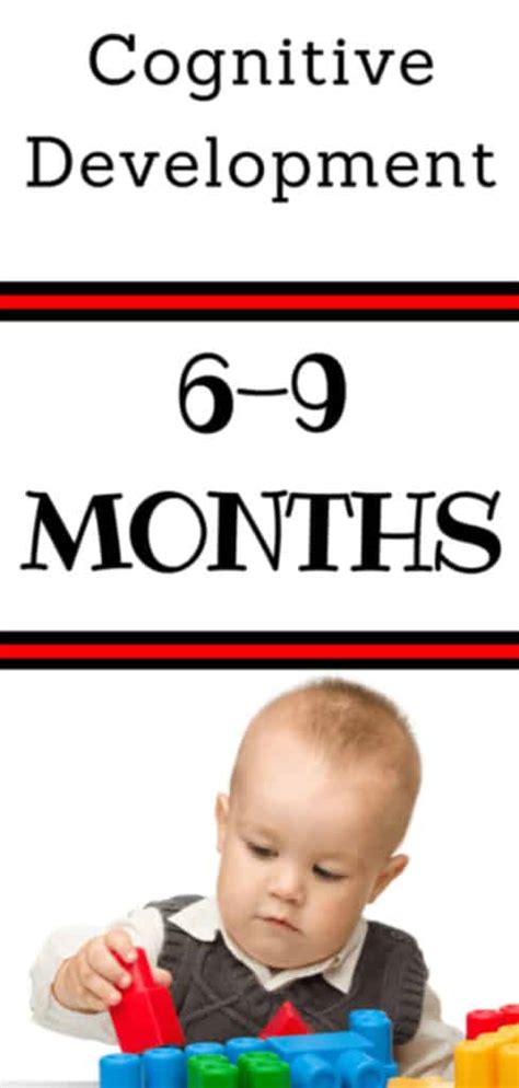 Everything You Need To Know About Cognitive Development 6 9 Months