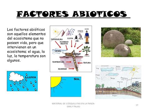 Ciencias Naturales Los Ecosistemas