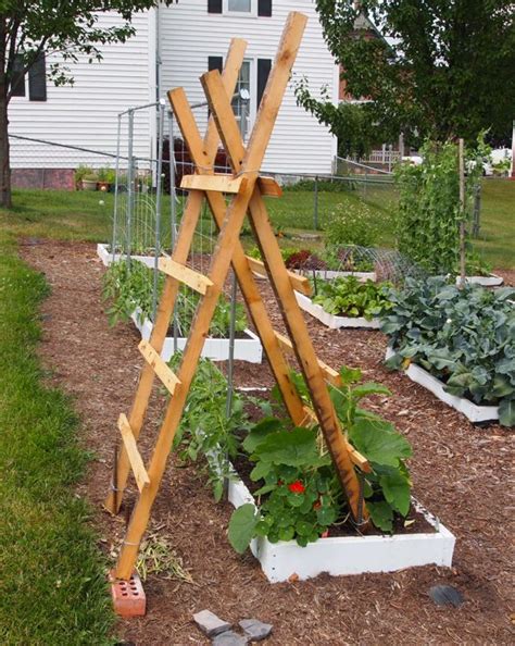 Squash And The Trellisreally With Images Diy Trellis Squash