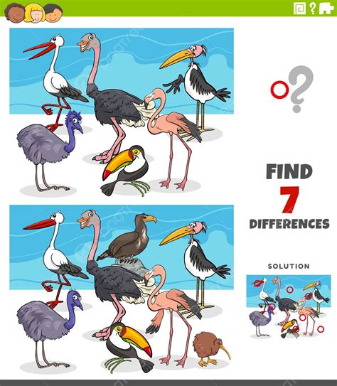 Differences Educational Game With Bird Animals Vector Toucan Artwork