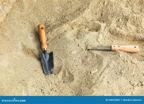 Shovel In The Sandskeleton And Archaeological Toolsdigging For