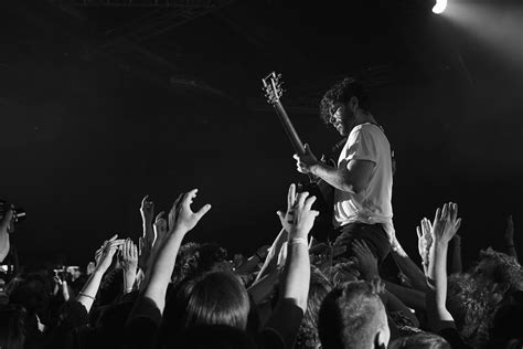 Foals, Lab, Concert, Labs, Concerts, Labradors