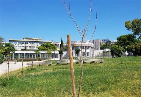 Jul 02, 2021 · στεγη ιδρυματος ωναση: Οι προτάσεις των κατοίκων για το Πεδίο του Άρεως