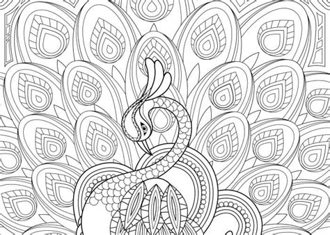Monday mandala has close to 70 free mandala coloring pages that include intricate lines, swirls, and mandala designs include paisley doodle, flower and leaves, paisley, oriental, peacock, dragon eye coloring home has a ton of free mandala coloring pages and they've indicated their most. 11 Free Printable Adult Coloring Pages