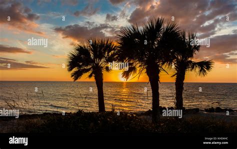 Sunset Over Gulf Of Mexico From Caspersen Beach In Venice Florida