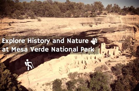 Explore History And Nature At Mesa Verde National Park