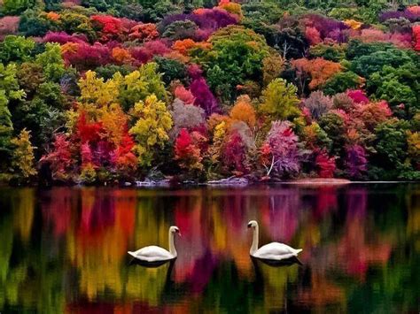 Pin By Treena Manion On In Color Beautiful Nature Beautiful