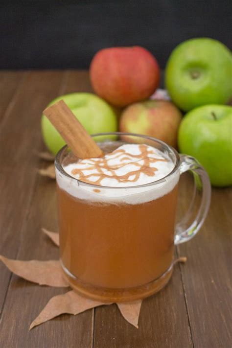 Homemade Apple Cider Recipe One Ingredient Chef