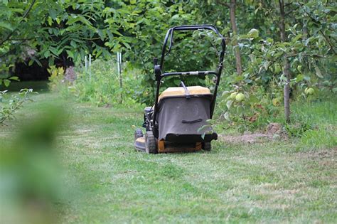 Common failures of a lawn mower include a lack of clean fuel in the gas tank, a spark plug wire that's not attached and a brake cable that's not functioning. Smoking Lawn Mower Causes & How to Fix | Lawn Chick