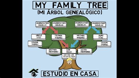 Como Hacer Un Arbol Genealogico En Ingles