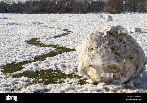 Huge Dirty Snowball On Wandsworth Common London Stock Photo Alamy