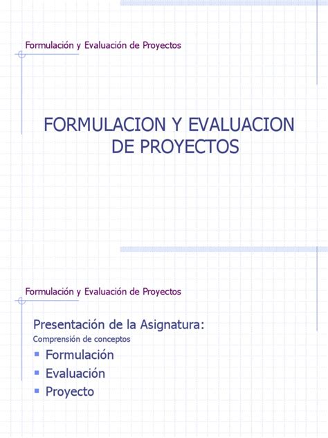 Formulación Y Evaluación De Proyectos 1 A Pdf Toma De Decisiones