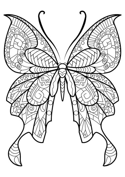Realistic Butterfly Drawing At Getdrawings Free Download