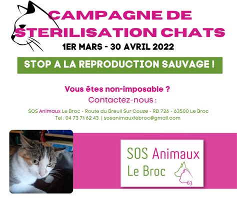 Campagne De Sterilisation 🗓 La Sos Animaux Le Broc 63