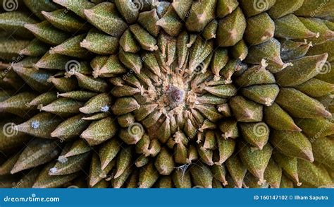 Abstract Pattern Durian Thorn Texture Background Stock Photo Image Of