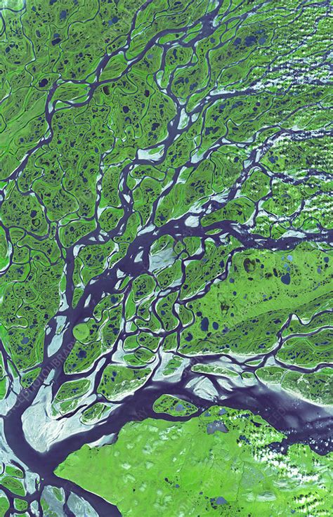 Lena River Delta Satellite Image Stock Image E5520156 Science