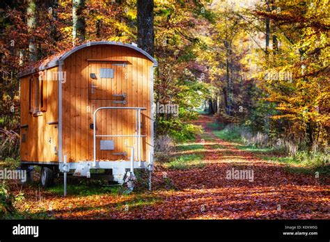 Wooden Caravan Standing Beside The Road In The Autumn Forest Stock