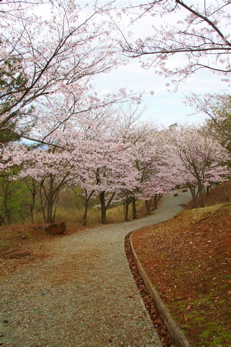 The site owner hides the web page description. ニュース/イベント情報｜兵庫県立大学西はりま天文台