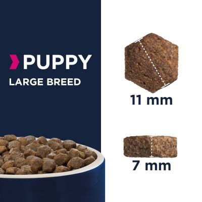 Eukanuba large breed puppy dry dog food 33 lb bag chewy com. Eukanuba Growing Puppy Large Breed Chicken | Great deals ...