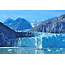 Glacier Bay National Park  Pics