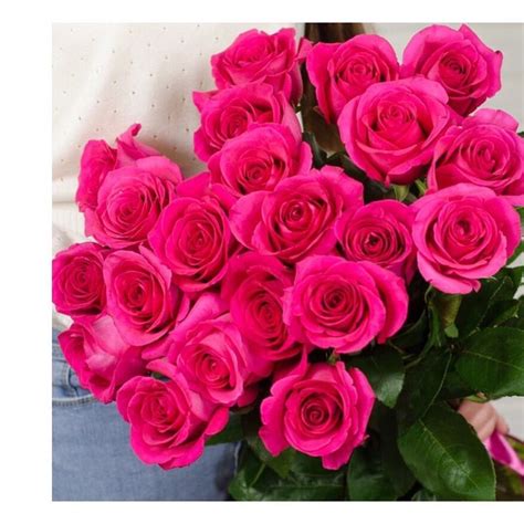 Pink floyd the wall fornicating flowers. «Pink Floyd» - неймовірні троянди,які зачаровують своєю ...
