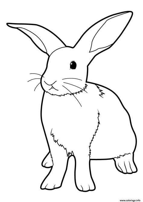 Votre lapin y sera plus sensible et plus réceptif. Coloriage Lapin Realiste Debout dessin