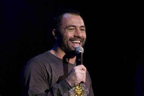 Joe rogan was born on august 11, 1967 in newark, new jersey, usa as joseph j. The Chicago Theatre: Upcoming Schedule | UrbanMatter