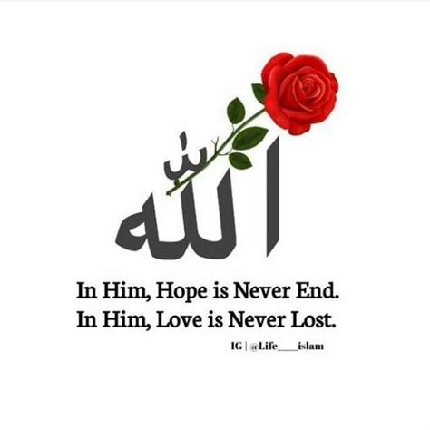 A Red Rose With The Words In Him Hope Is Never End In Him Love Is