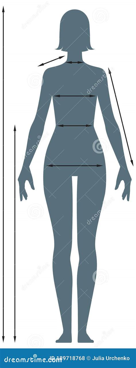 Diagrams Of The Female Body Measurements In Full Length Stock Vector