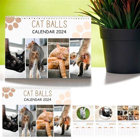 Amazon Com Calendar Funny Cat Calendar Cats Butts For Cats Lovers Funny Cat