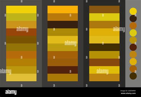 Golden Color Palette Vector Set Trendy Colors Swatches Chart Of Gold