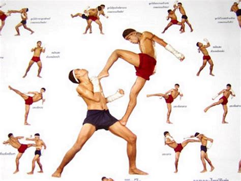 Movimientos Basicos Muay Thai Técnicas De Muay Thai Treino De Muay Thai