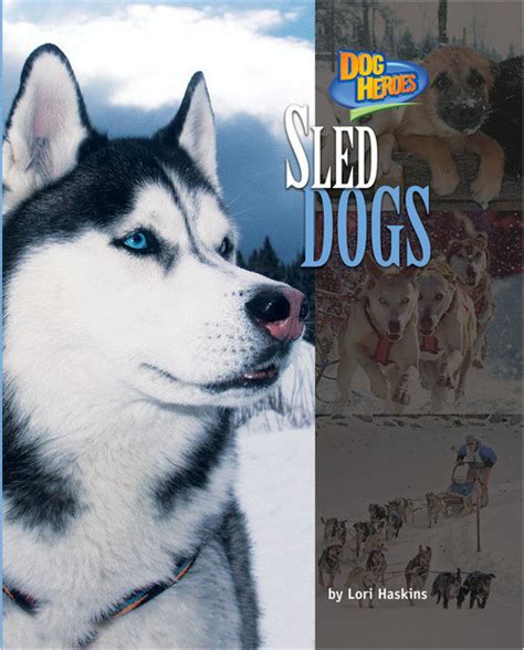 Sled Dogs Bearport Publishing