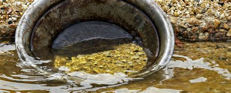 California gold panning is just one of the many highlights you can arrange to see using our , world travel planner edition. 43 Gilded Facts About The California Gold Rush