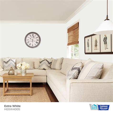Hgtv Home By Sherwin Williams Extra White Hgsw4005 Paint Sample Half