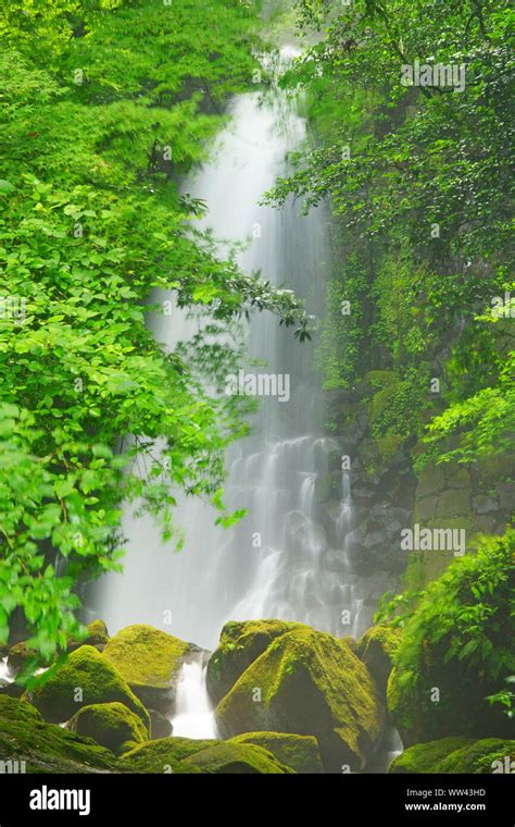 Shiraito Waterfall Kumamoto Prefecture Japan Stock Photo Alamy