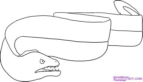 How To Draw An Eel Step By Step Fish Animals Free Online Drawing