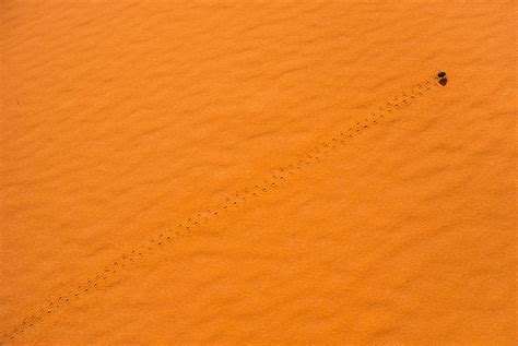 Fotografía Macro De Arena Del Sahara Miniminim Fotografía Macro