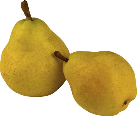 Ripe Pear Png Image Transparent Image Download Size 1262x1073px