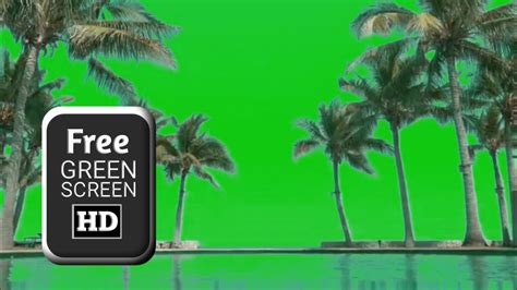 Palm Tree Animation Green Screen Video Effects Green Screen Palm