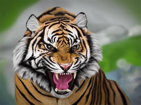 Tiger Photoshop By Mikel Kiriakos On Dribbble