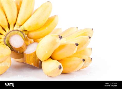 Ripe Egg Banana And Hand Of Golden Bananas On White Background Healthy