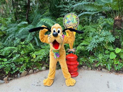 Photos Pluto Meet And Greet Returns To Dinoland Usa At Disneys