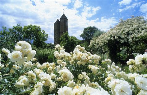 Modern, traditional, eclectic, rustic, glam, farmhouse, country Designing a White Flower Garden