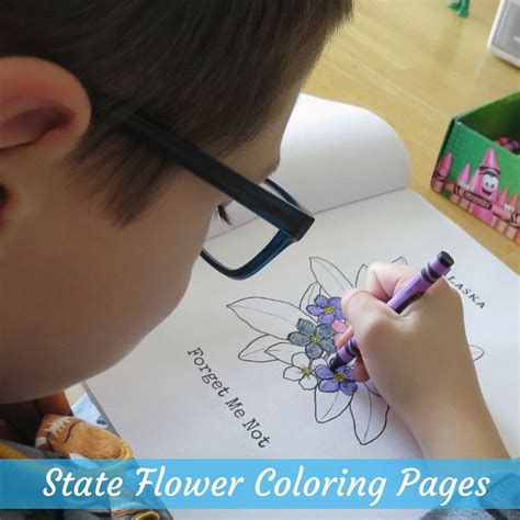 The Amazing State Flower Coloring Book By Heather Burns Best Gifts