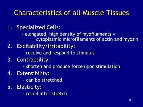 Ppt Chapter 10 Muscle Tissue Powerpoint Presentation