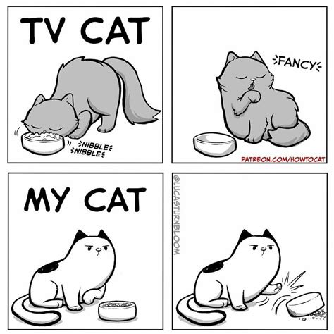 New Hilarious Comics Show What Its Like To Live With A Cat How To Cat Cat Comics Funny Cats