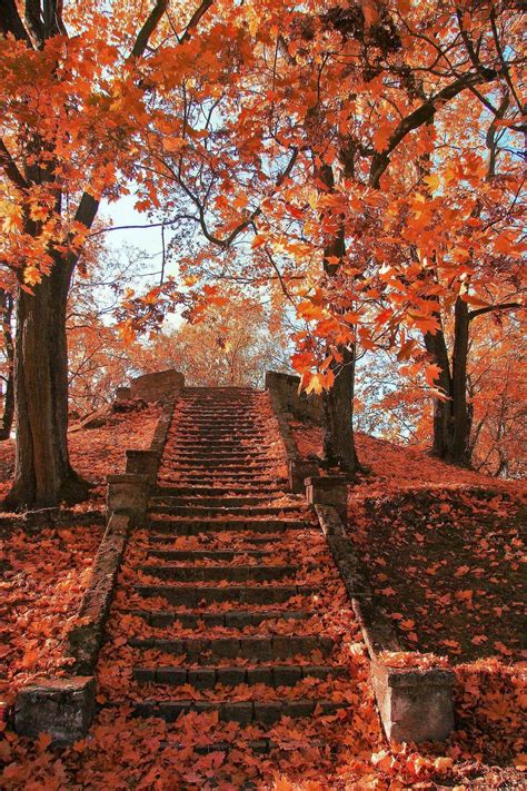 Pin By Ruza Ruzica On Autumn Autumn Scenery Autumn Photography Scenery